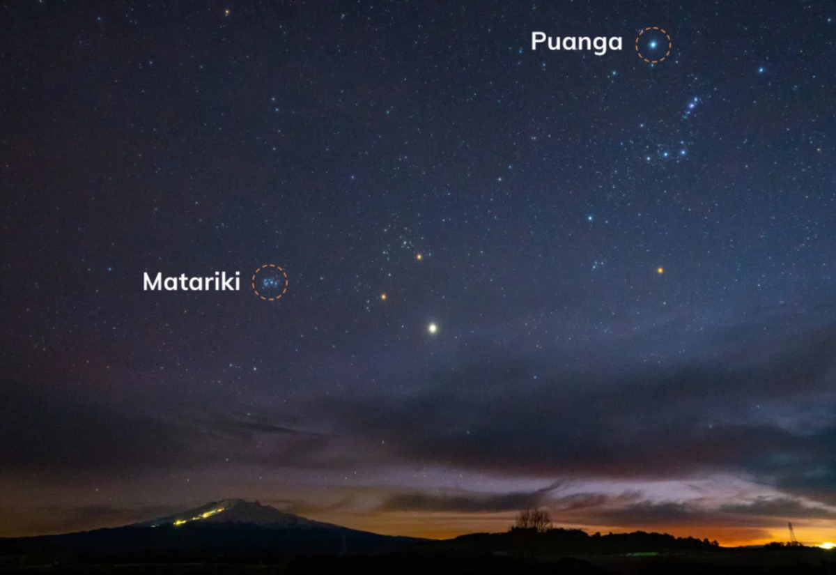 Puanga to take starring role at this year's Matariki celebrations