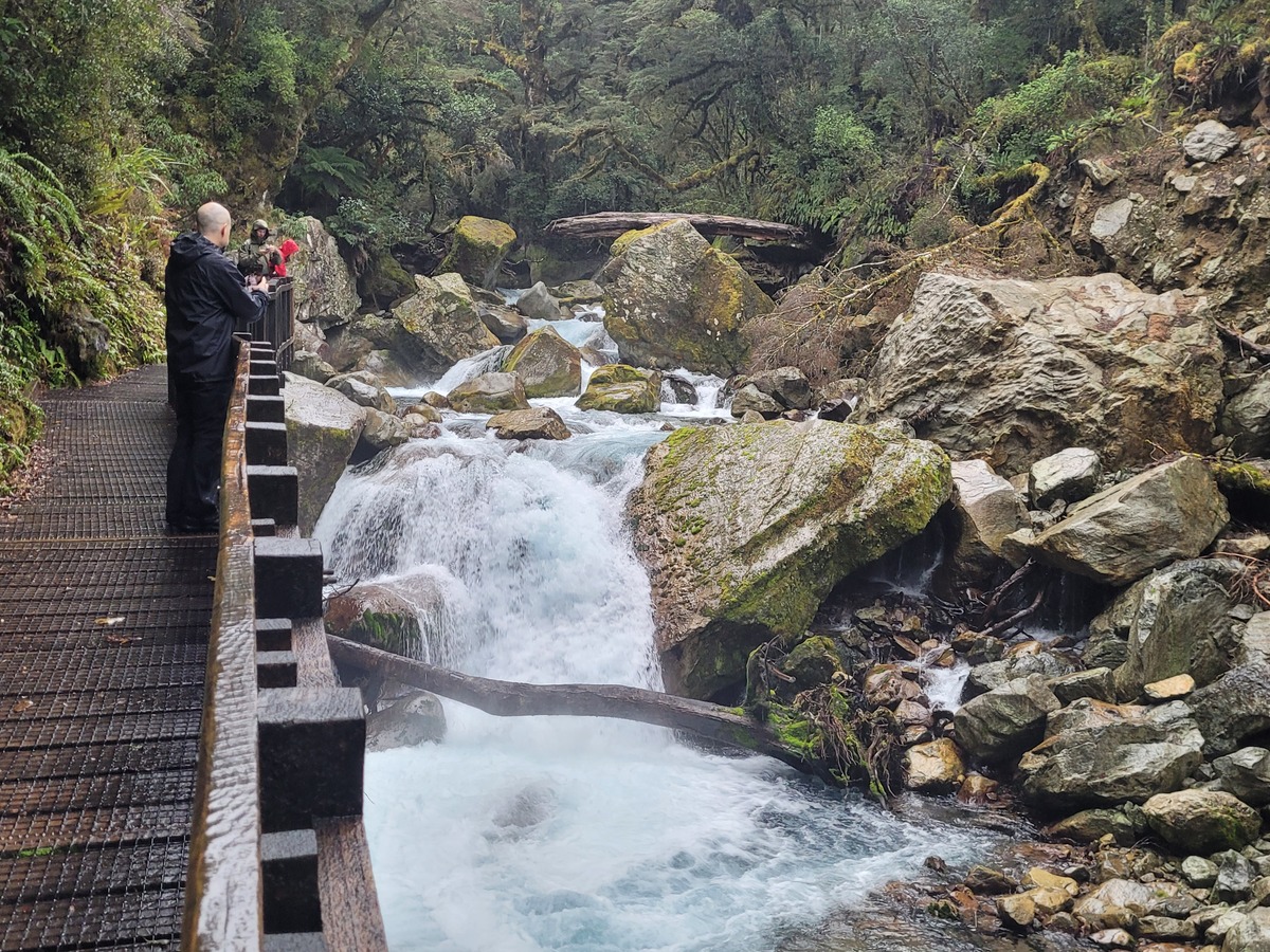 Platform above Fiordland's Marian Creek track being rebuilt