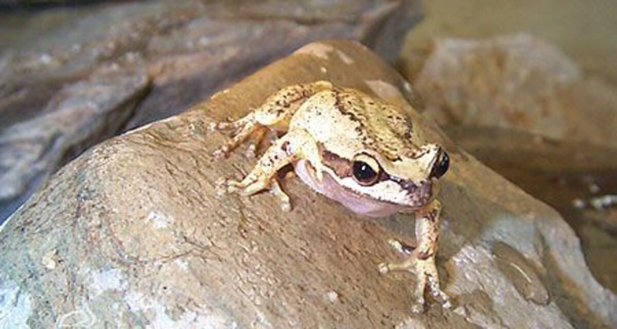 Nominations open for Citizen Science Awards