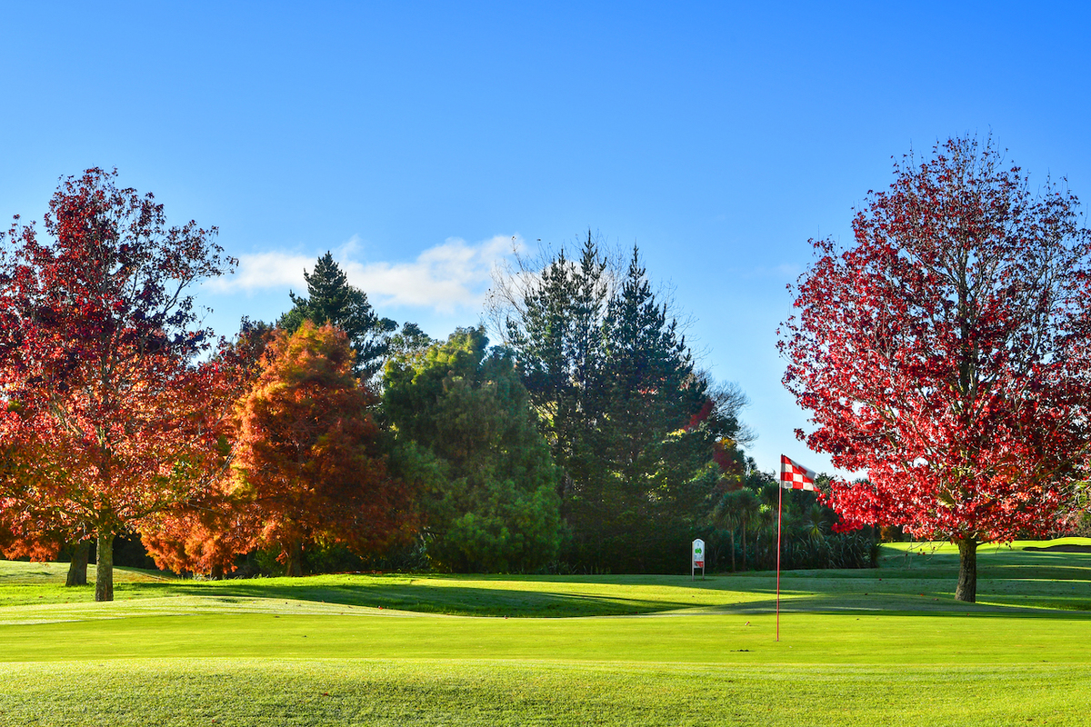 Takapuna Golf Course Plans Stir Property Concerns