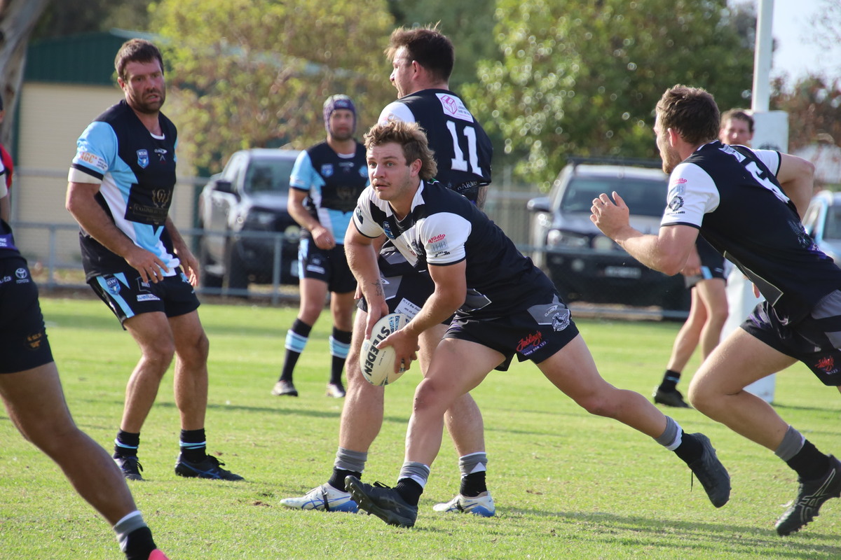 Hay Magpies takes the bite out of struggling Sharks