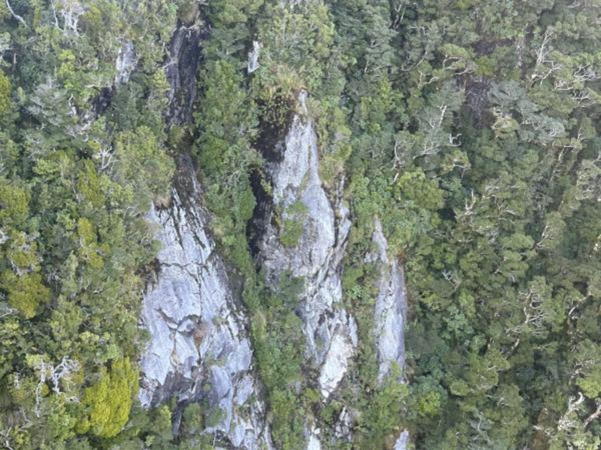 Helicopters grounded as search for missing tramper continues