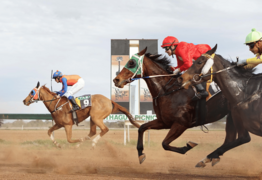 Marthaguy Picnics ready to race
