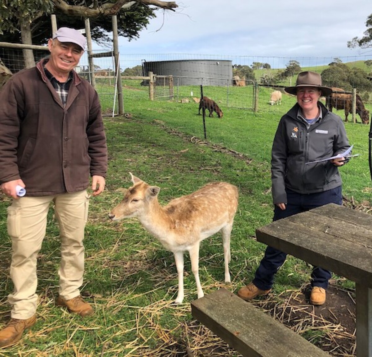 Keeping deer on the right side of the fence