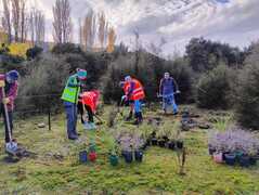 ‘Passionate residents’ improve historic wetland