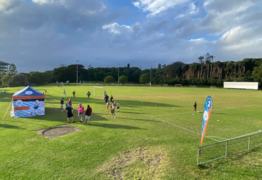 Unsafe light poles removed from Kiama Sports Complex