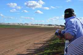 Big fields at Marthaguy Picnics