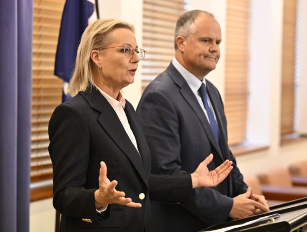 Ley to lead Liberal Party