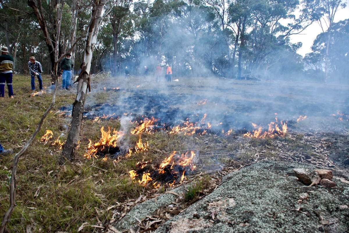 Question: What do Cultural Burns do?