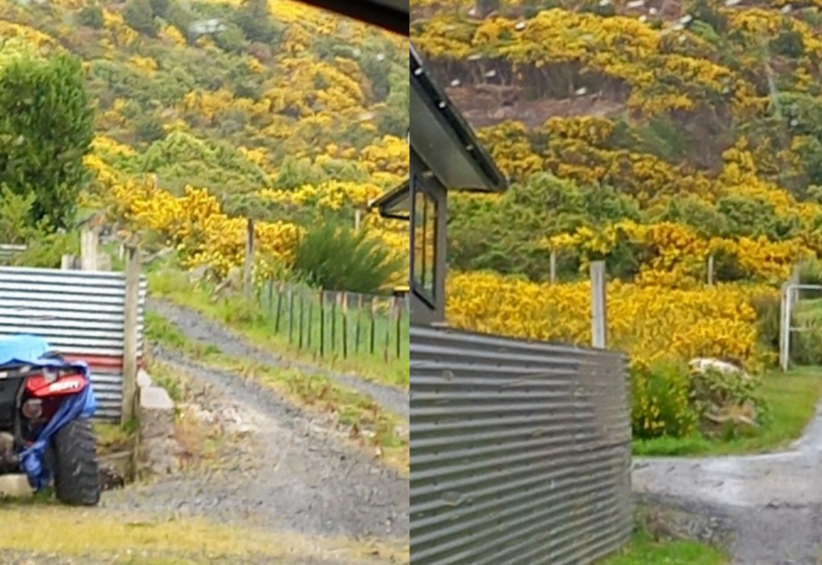 SOUTHLAND-GORSE-REMOVAL
