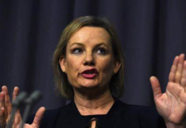Sussan Ley creates history - Liberal leader