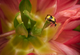 A new lens on life: Kevin's photography journey