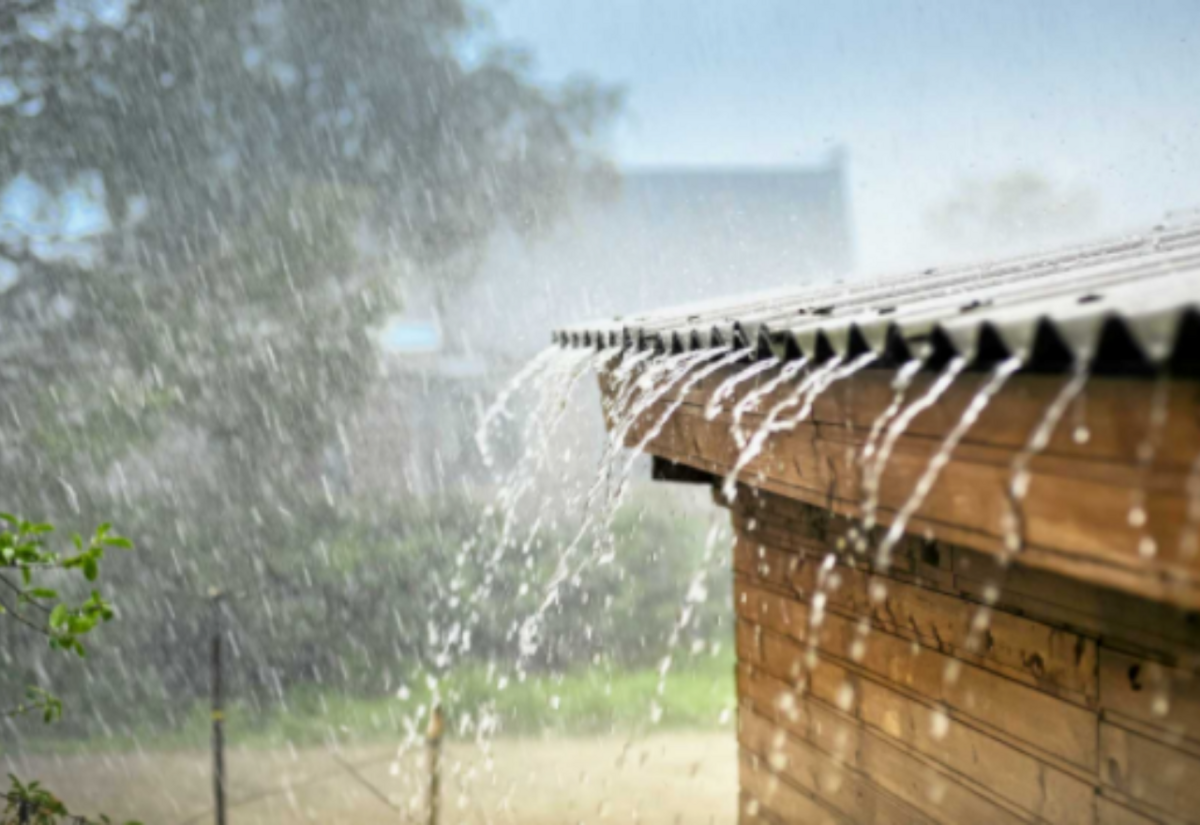 Rain, Rain Go Away - but not yet it appears