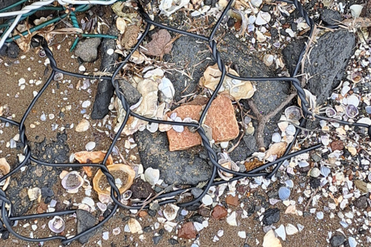 Asbestos-containing material washing up on some east Auckland beaches