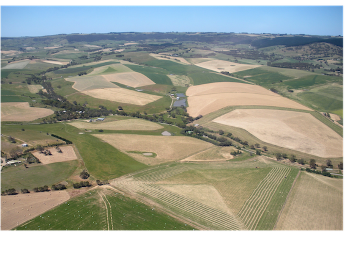 South coast farmland unlocked for housing