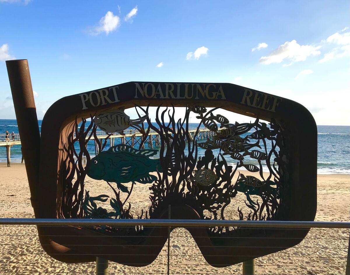 Shark attack at Port Noarlunga