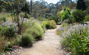 The Sustainable Garden