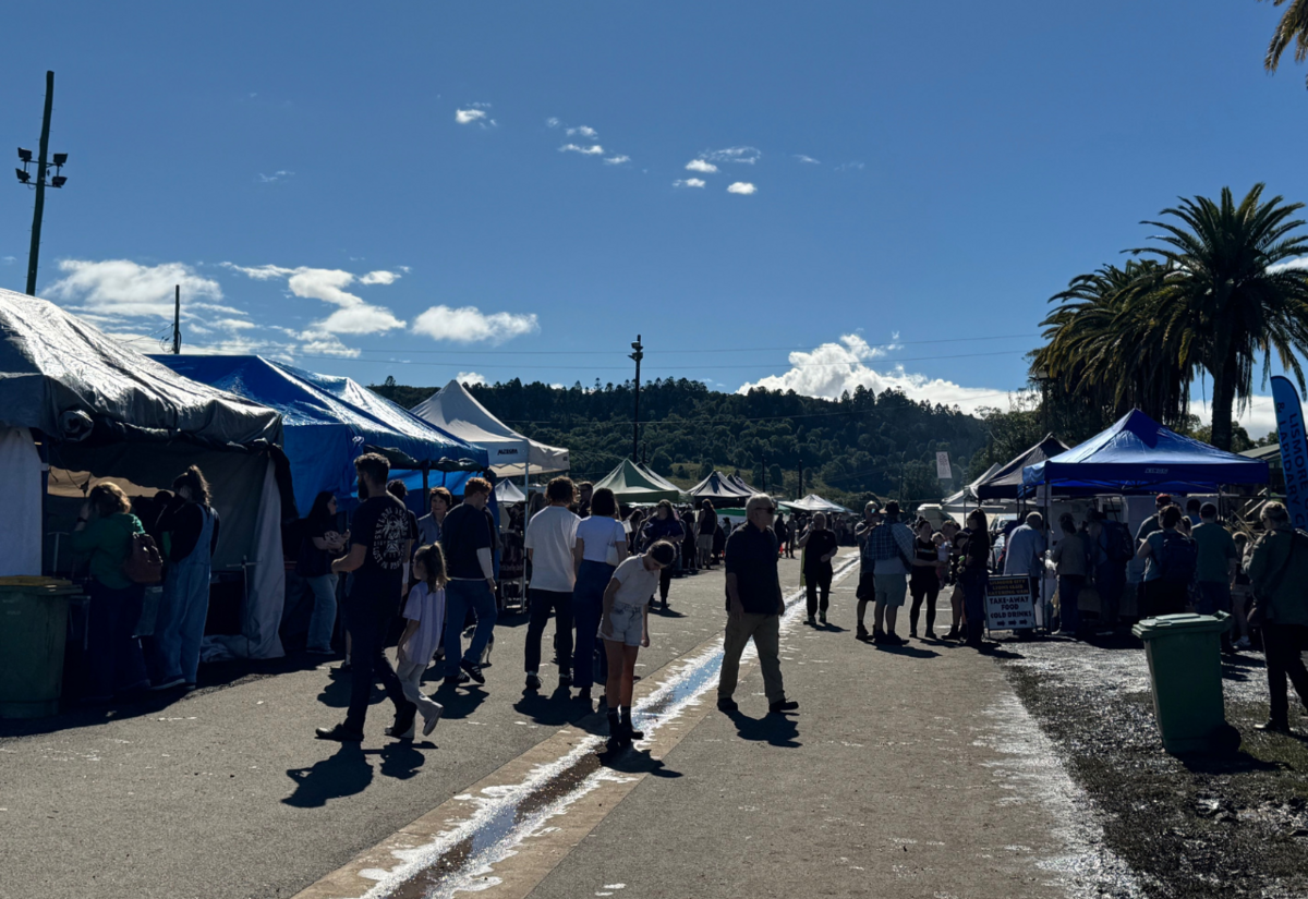 The sun comes out and so does the crowd for Gemfest