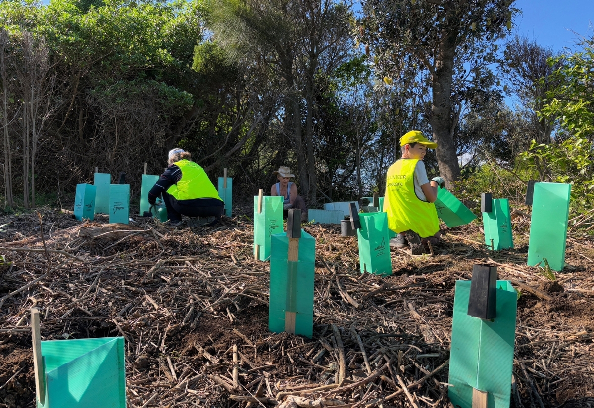  Ethan shows how volunteering helps plants and people thrive