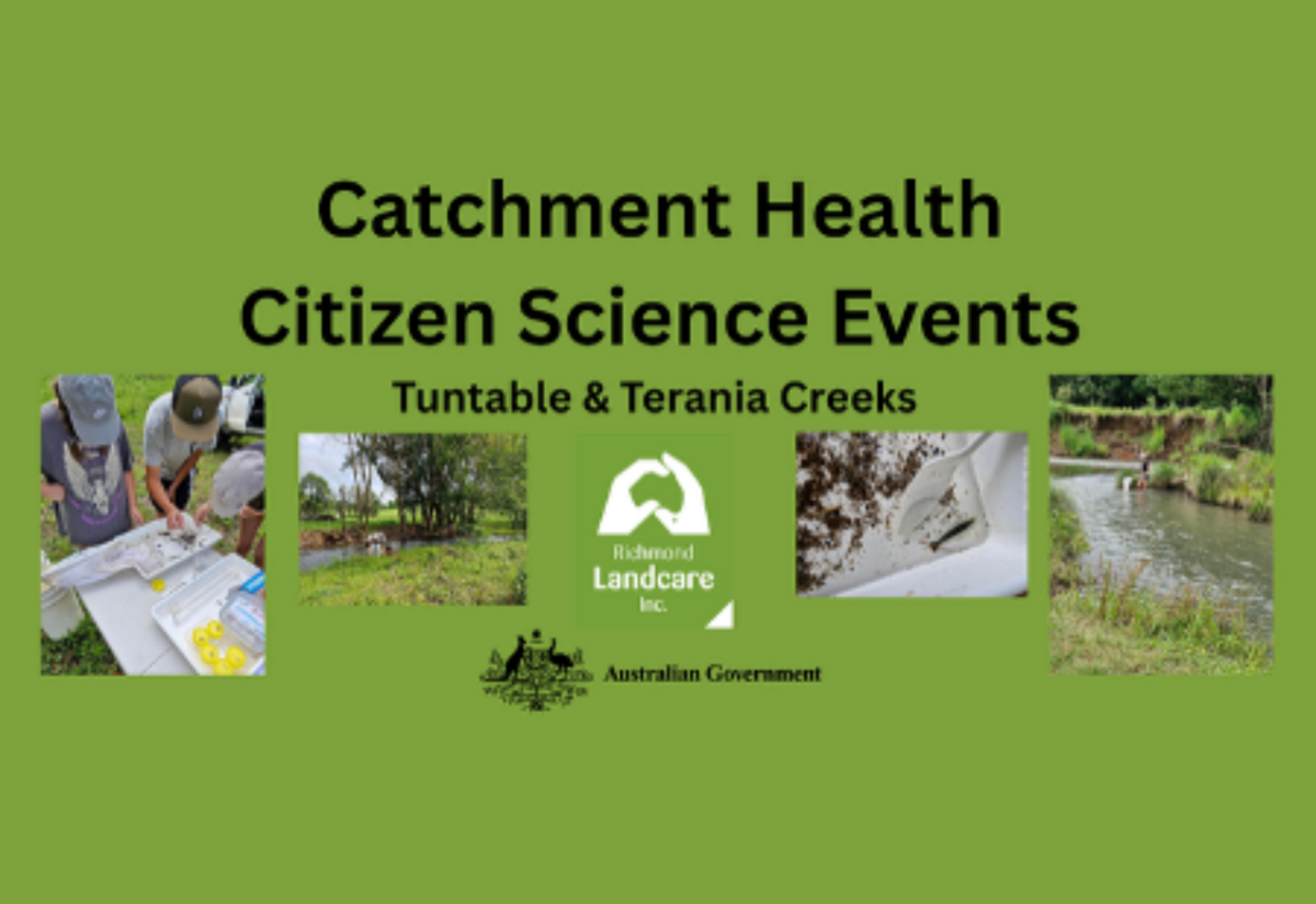 Be part of three Richmond River waterway events  