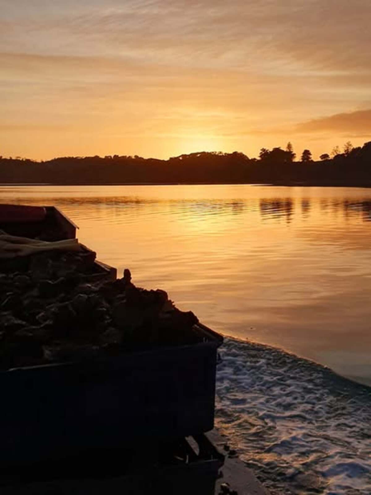Locals Rally Behind Oyster Farmers as Mahurangi River Faces Environmental Crisis