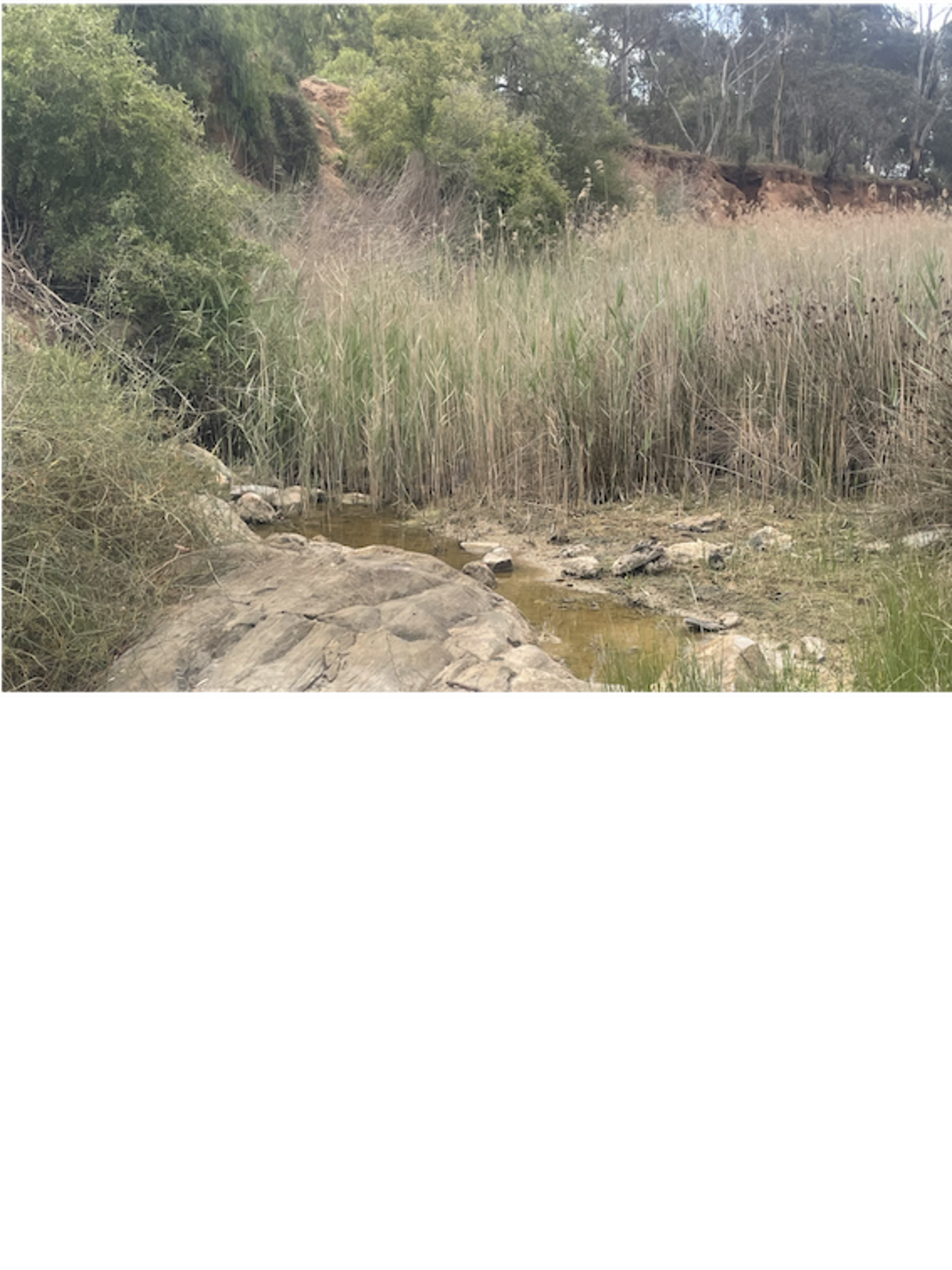 More dams not the answer in dry times