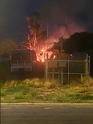 Emergency services called to tree fire 