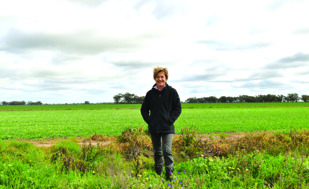 IPART'S Water Pricing Decision a Win for Farmers, Food Security and Rural Communities