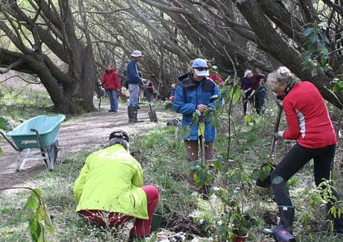 Local projects on shortlist for ECO Fund