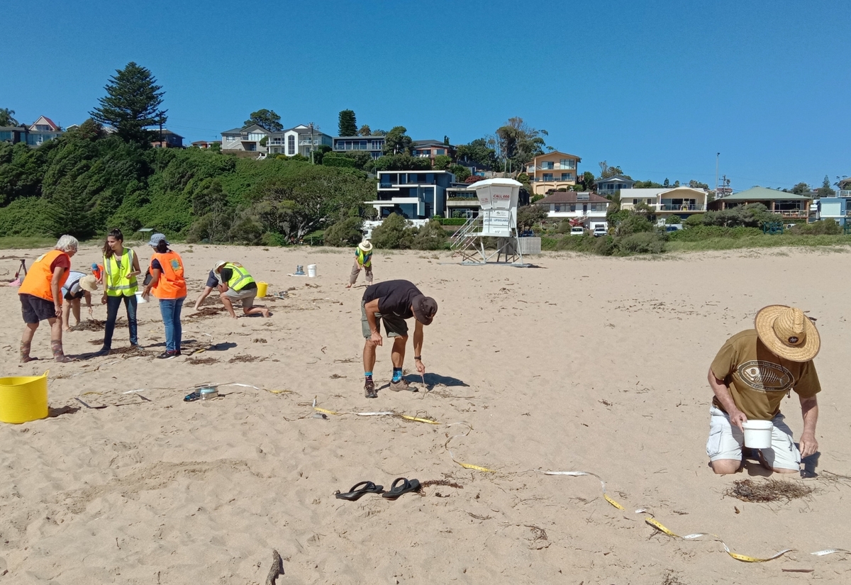 Microplastics in Kiama - Small fragments, big implications