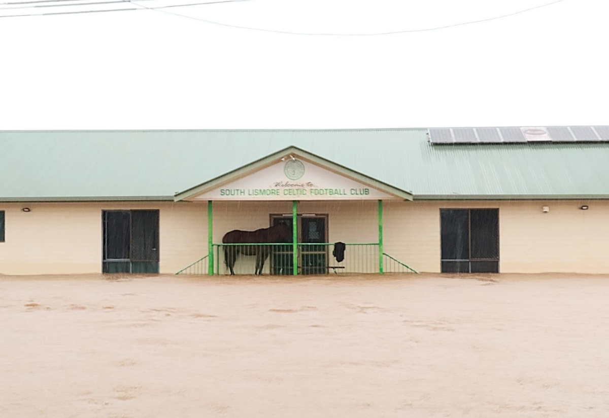 Support for farmers during the Mid-North Coast, North Coast and Hunter flood events