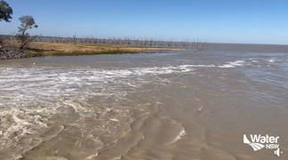 Qld floodwaters flow into Menindee Lakes - video
