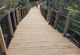 Warkworth's new Kōwhai Park walkway and bridge now open