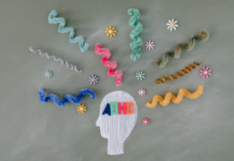 Game changing reforms allow GPs to treat ADHD to reduce wait times and costs