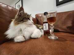Kiwi Startup Bottles Pet Wine Dream