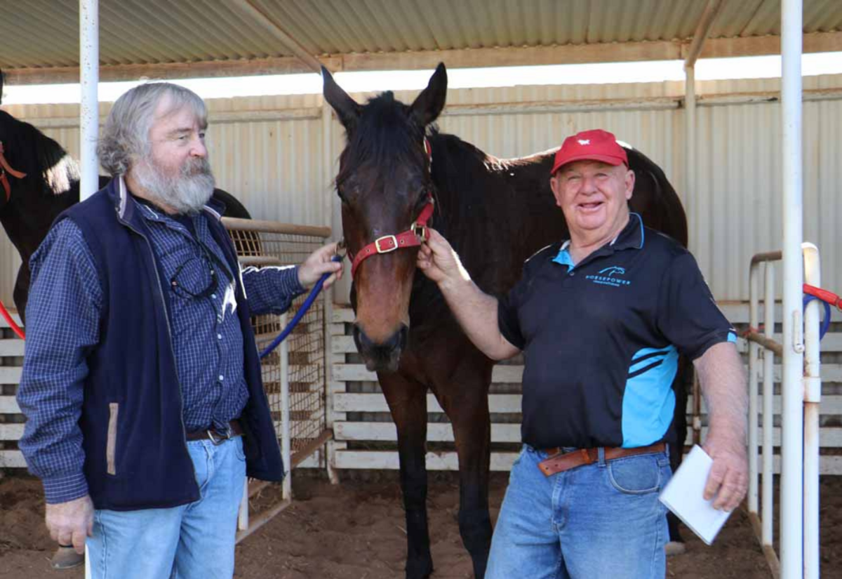 Local trainer aims for a third Cobar Cup