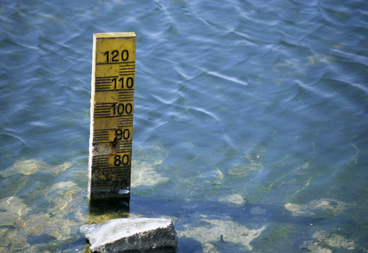 New ABS data on PFAS levels after National Health Measures Survey