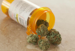 Bill to exempt medical cannabis patients from drug driving charges introduced today