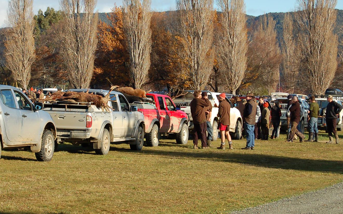 Hunters aim to bag up to $30,000 at Fiordland Big 3