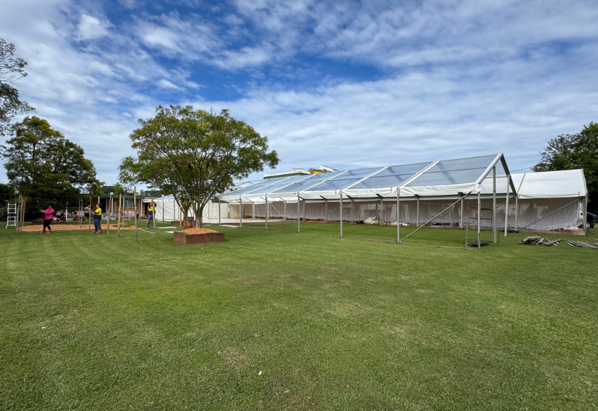 Our Kids Winter Ball gears up for a big night