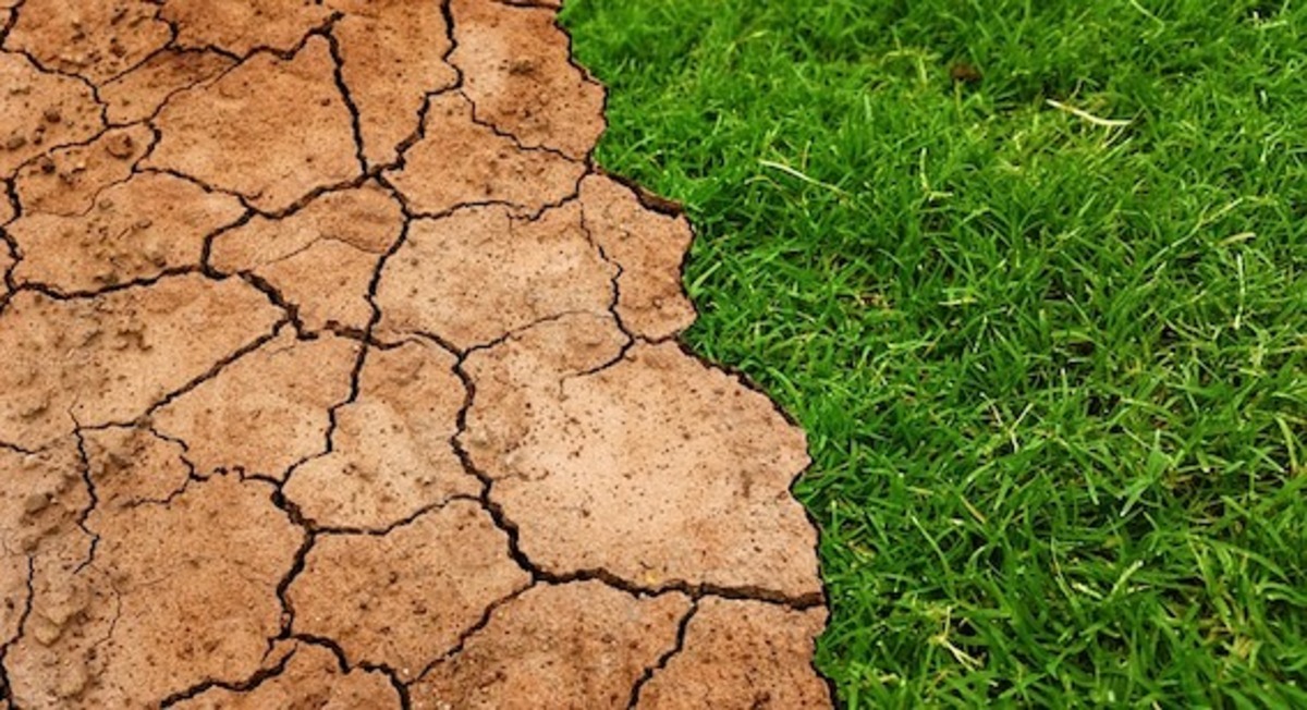 Drought Relief extended for clubs
