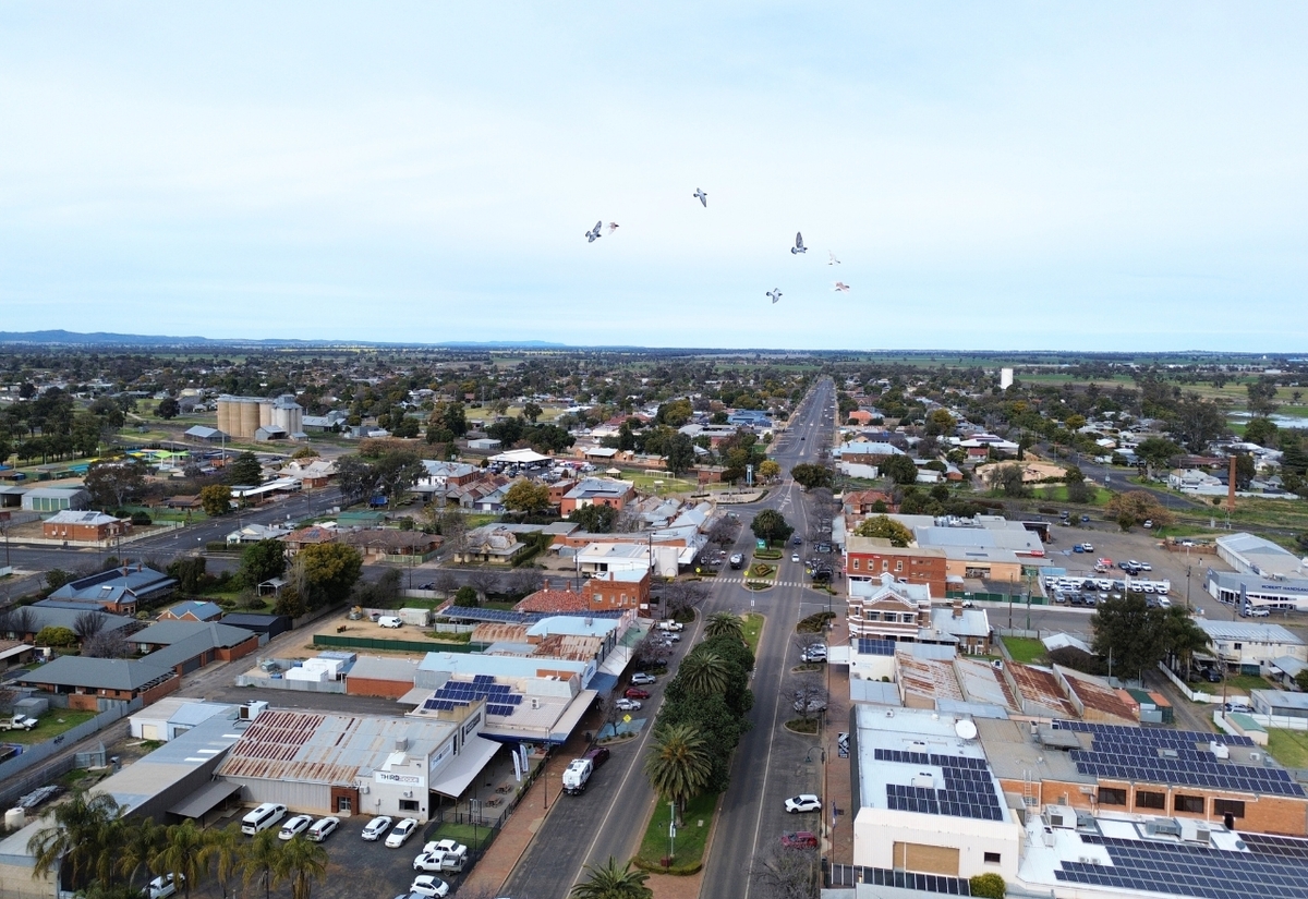 Narromine long-term plans up for comment
