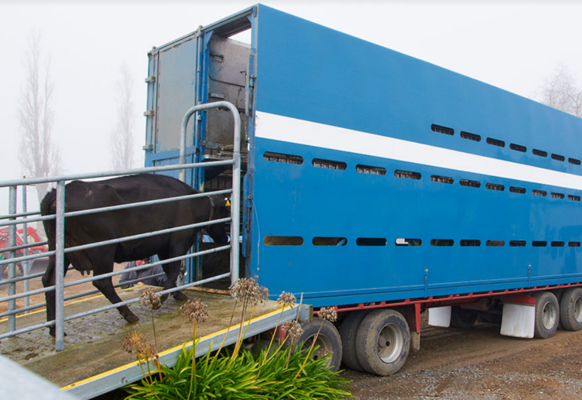 Moving Day reminder for dairy farmers