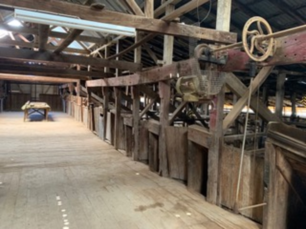 Historic Toganmain Woolshed Marks 150 Years with Grand Celebration