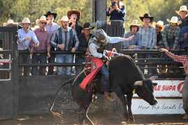 Giddy up! Coonamble saddles up for 70th Rodeo & Campdraft
