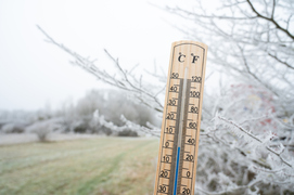Cold snap coming: Is your home ready? (sponsored)