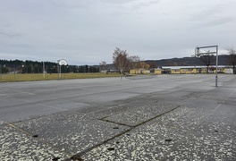 New turf backed by council grant 