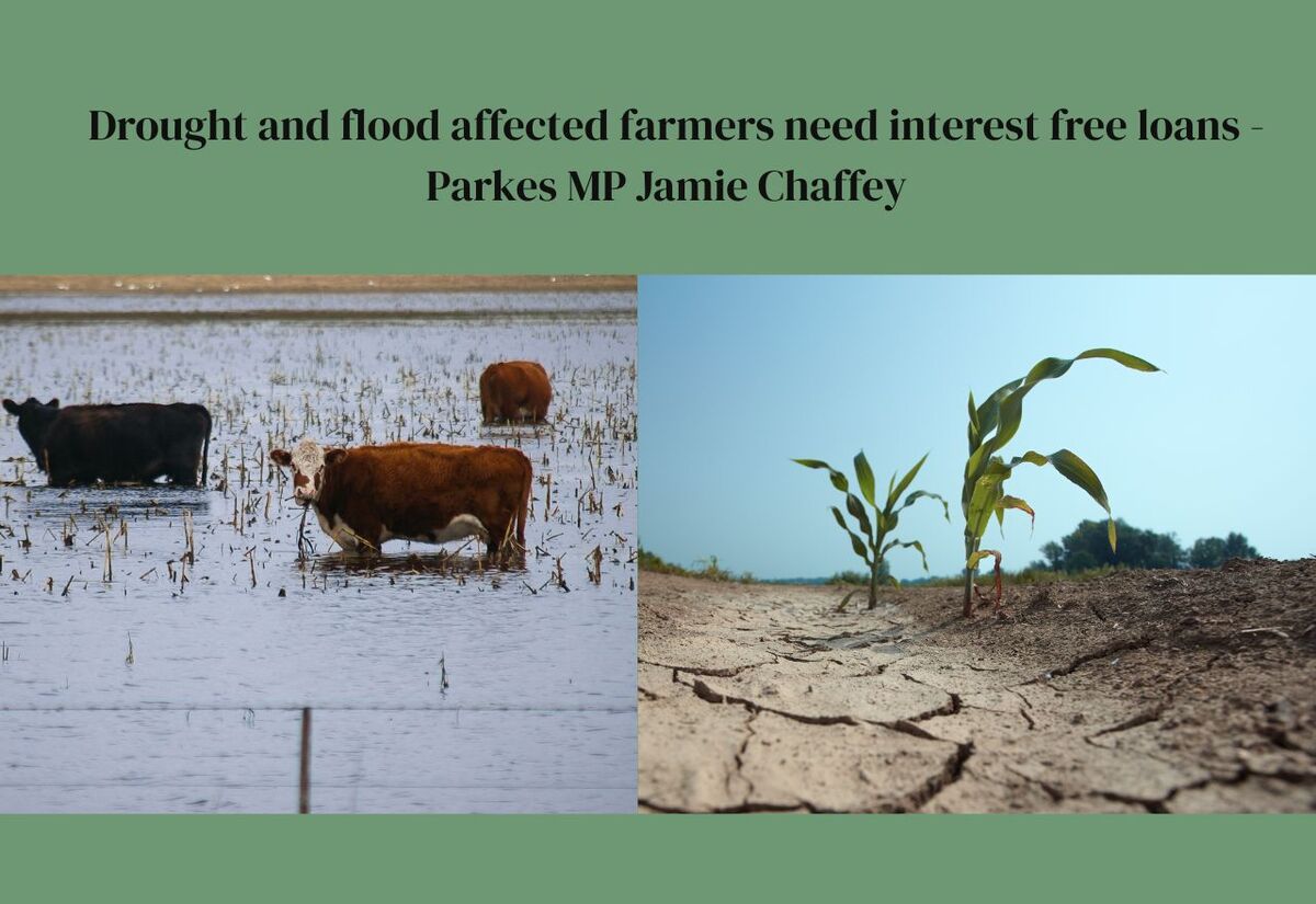 Drought and flood affected farmers need interest free loans  - Chaffey