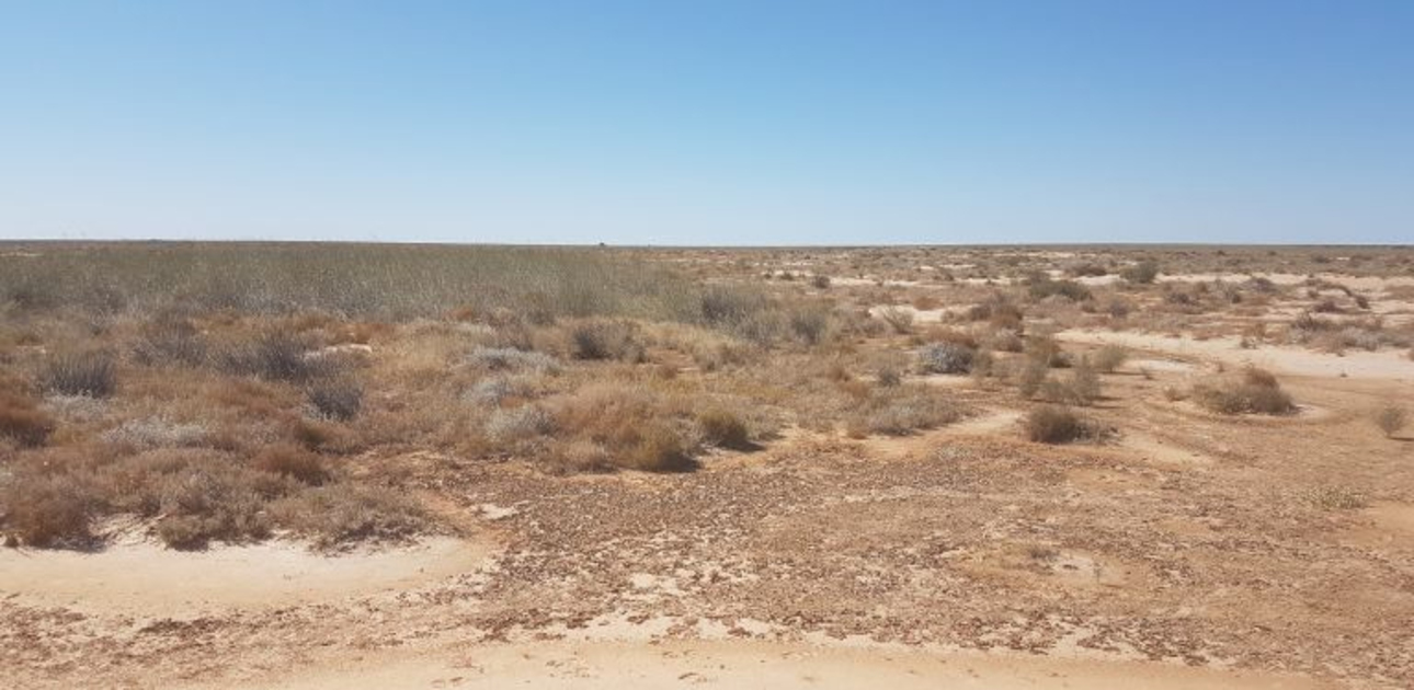 Tibooburra Community Invited to Learn About Major Wetland Restoration Project