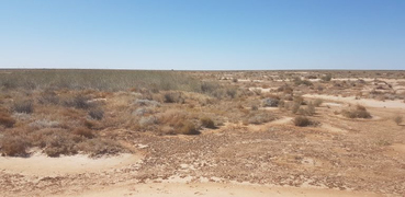 Tibooburra Community Invited to Learn About Major Wetland Restoration Project